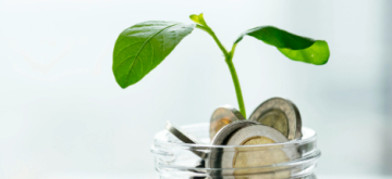 Plantje in glazen pot